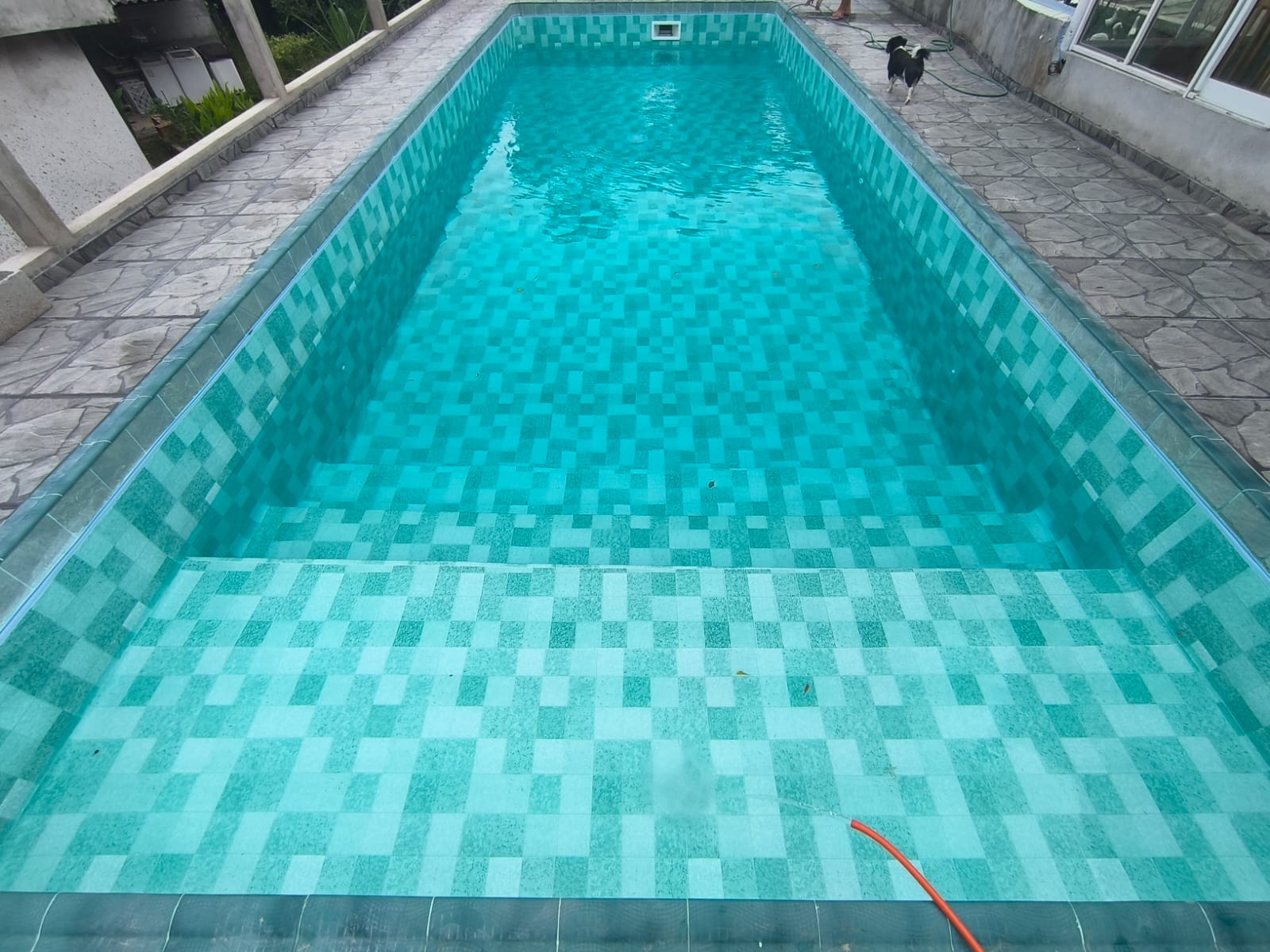Lap Pool grande